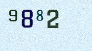 Visual Confirmation Security Code