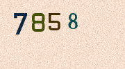 Visual Confirmation Security Code