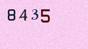 Visual Confirmation Security Code