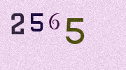 Visual Confirmation Security Code