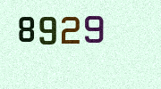 Visual Confirmation Security Code