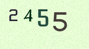 Visual Confirmation Security Code