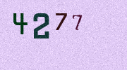 Visual Confirmation Security Code