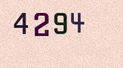 Visual Confirmation Security Code