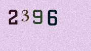 Visual Confirmation Security Code