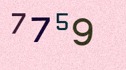 Visual Confirmation Security Code