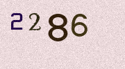 Visual Confirmation Security Code
