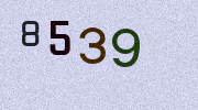Visual Confirmation Security Code