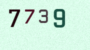 Visual Confirmation Security Code