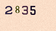 Visual Confirmation Security Code