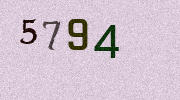 Visual Confirmation Security Code