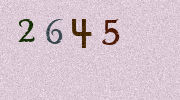 Visual Confirmation Security Code