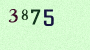 Visual Confirmation Security Code