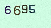Visual Confirmation Security Code