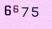 Visual Confirmation Security Code