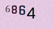Visual Confirmation Security Code