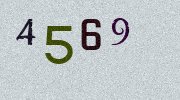 Visual Confirmation Security Code
