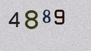 Visual Confirmation Security Code