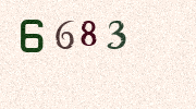 Visual Confirmation Security Code