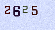 Visual Confirmation Security Code