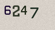 Visual Confirmation Security Code