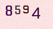 Visual Confirmation Security Code