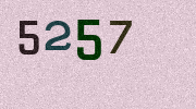 Visual Confirmation Security Code