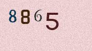 Visual Confirmation Security Code