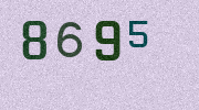Visual Confirmation Security Code