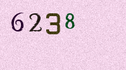 Visual Confirmation Security Code