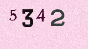 Visual Confirmation Security Code