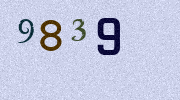 Visual Confirmation Security Code