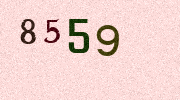 Visual Confirmation Security Code