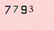 Visual Confirmation Security Code