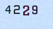 Visual Confirmation Security Code