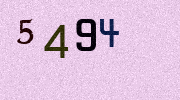 Visual Confirmation Security Code