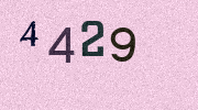 Visual Confirmation Security Code