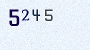Visual Confirmation Security Code