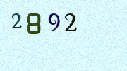 Visual Confirmation Security Code