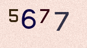 Visual Confirmation Security Code