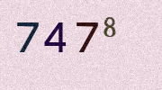 Visual Confirmation Security Code