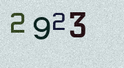 Visual Confirmation Security Code