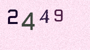 Visual Confirmation Security Code