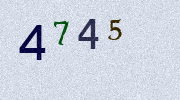 Visual Confirmation Security Code