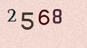 Visual Confirmation Security Code