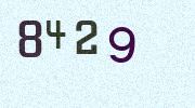 Visual Confirmation Security Code