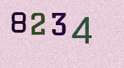 Visual Confirmation Security Code