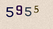 Visual Confirmation Security Code