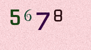Visual Confirmation Security Code