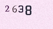 Visual Confirmation Security Code